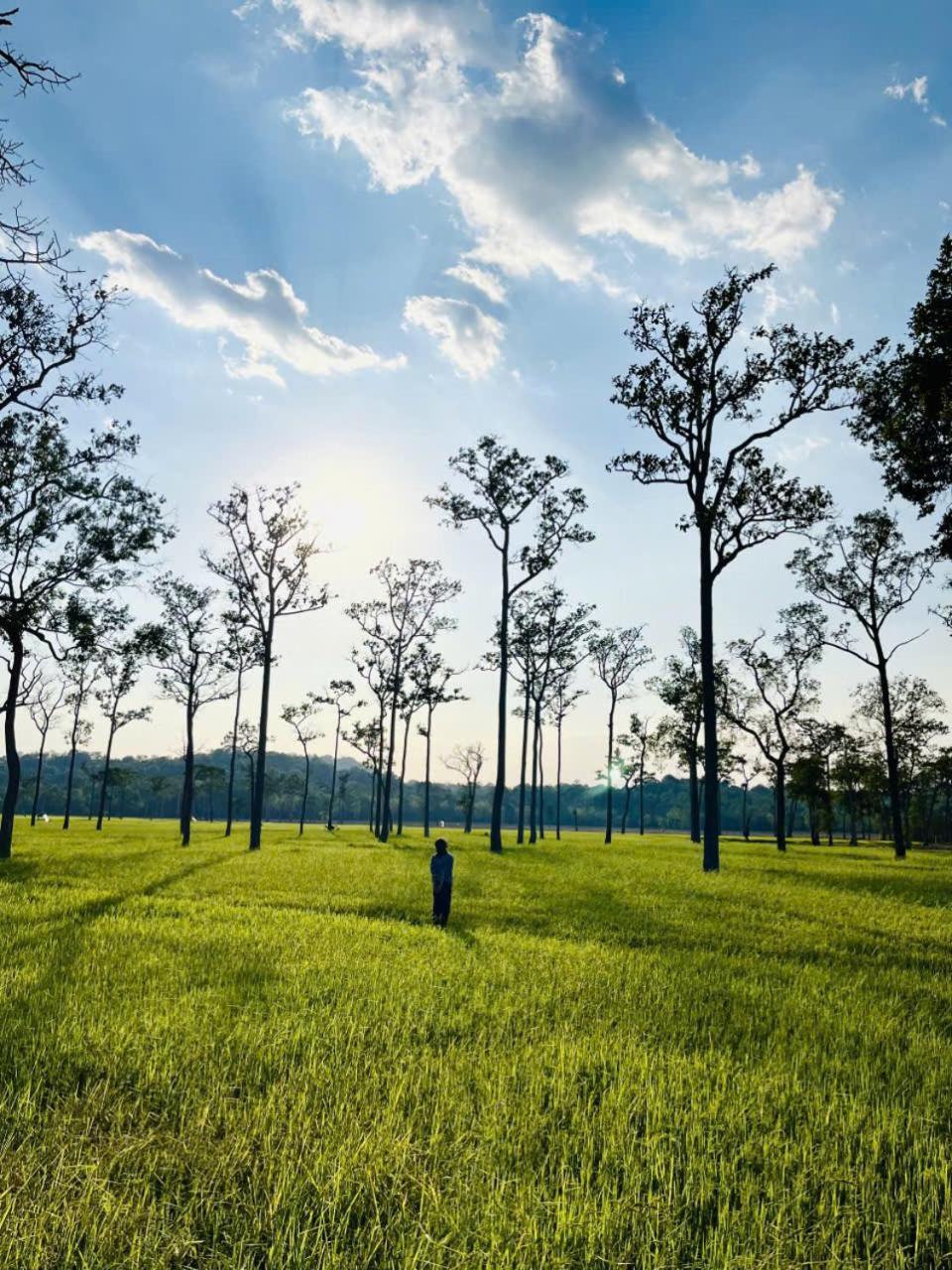Hello Sun Hotel Cát Tiên Ngoại thất bức ảnh